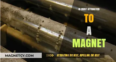 Is Rust Magnetic? Exploring the Attraction Between Rust and Magnets