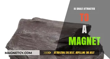 Is Shale Magnetic? Exploring Its Attraction to Magnets