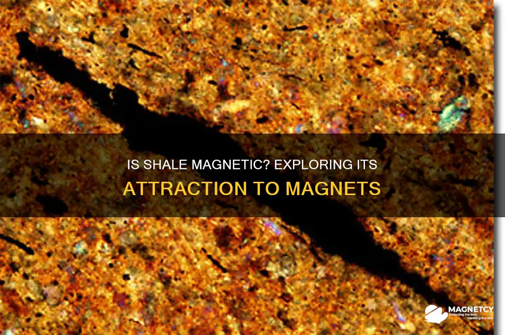 is shale attracted to a magnet