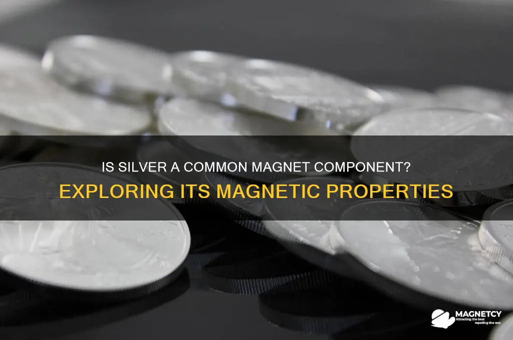 is silver often used in magnets