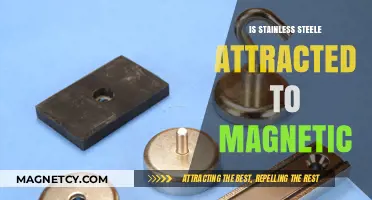 Is Stainless Steel Magnetic? Unraveling the Truth Behind the Myth