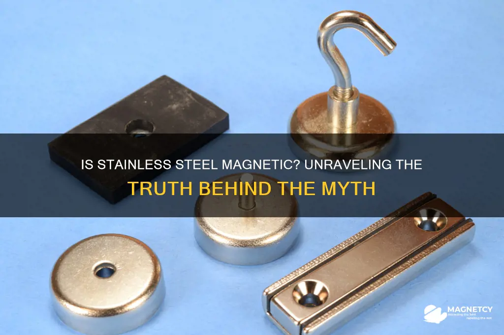 is stainless steele attracted to magnetic