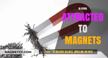 Is Steel Magnetic? Exploring the Attraction Between Steel and Magnets