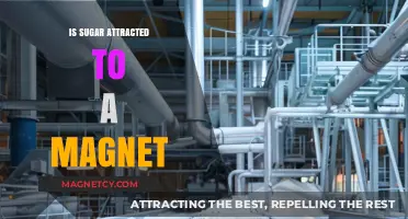 Is Sugar Magnetic? Unraveling the Myth of Sugar and Magnets