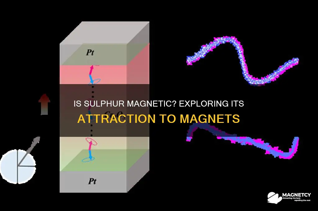 is sulphur attracted to magnets
