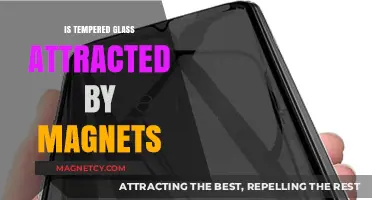 Is Tempered Glass Magnetic? Exploring Magnetism in Glass Materials