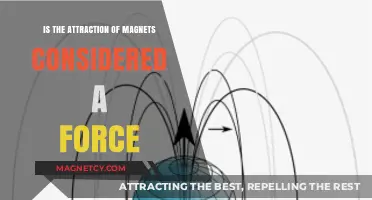 Magnetic Attraction: A Force or Something Else?