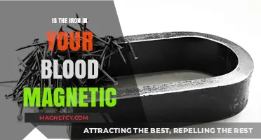 Unveiling the Magnetic Mystery: Iron's Role in Your Blood