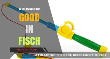 Exploring the Effectiveness of Magnet Rods in Fishing: A Comprehensive Guide