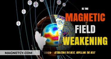 Exploring the Enigma: Earth's Magnetic Field Weakening?