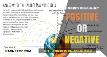 Exploring Magnetism: The Mystery of the North Pole's Charge