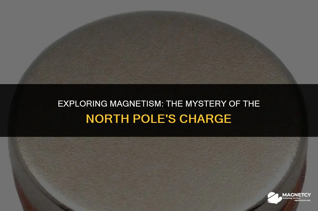 is the north pole of a magnet positive or negative