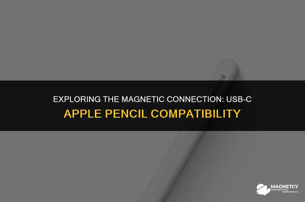 is the usb c apple pencil magnetic