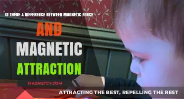 Magnetic Force vs. Attraction: Understanding the Key Differences