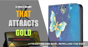 Can Gold Be Magnetically Attracted? Exploring the Science Behind It