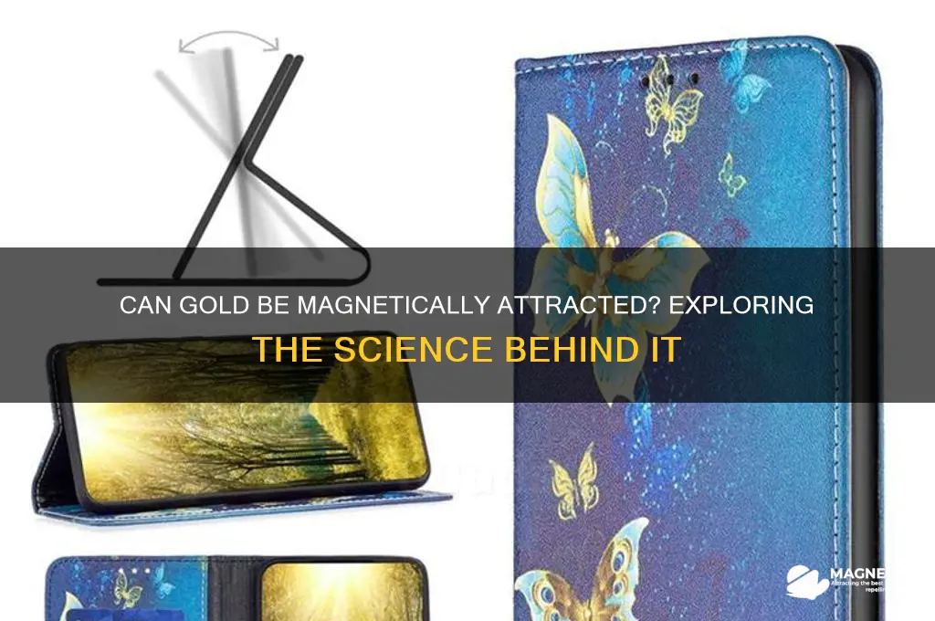is there a magnet that attracts gold