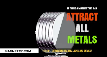 Can One Magnet Attract All Metals? Exploring Magnetic Properties