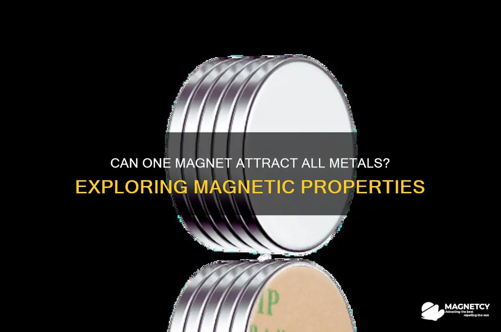 is there a magnet that can attract all metals