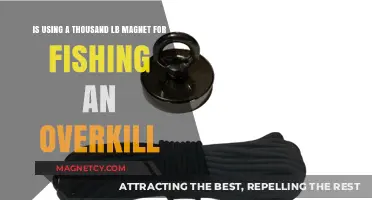 Magnet Fishing Overkill: Is a 1000-Lb Magnet Necessary for Treasure Hunting?