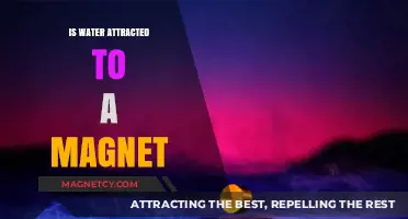 Is Water Magnetic? Unraveling the Science Behind Magnetism and H2O