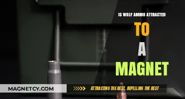 Does Wolf Ammo Stick to Magnets? Uncovering the Truth