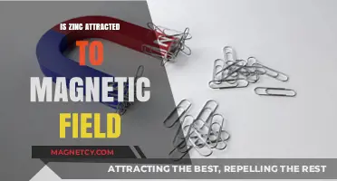 Is Zinc Magnetic? Exploring Its Response to Magnetic Fields
