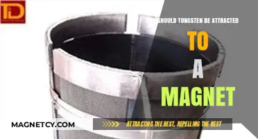 Is Tungsten Magnetic? Exploring Its Attraction to Magnets