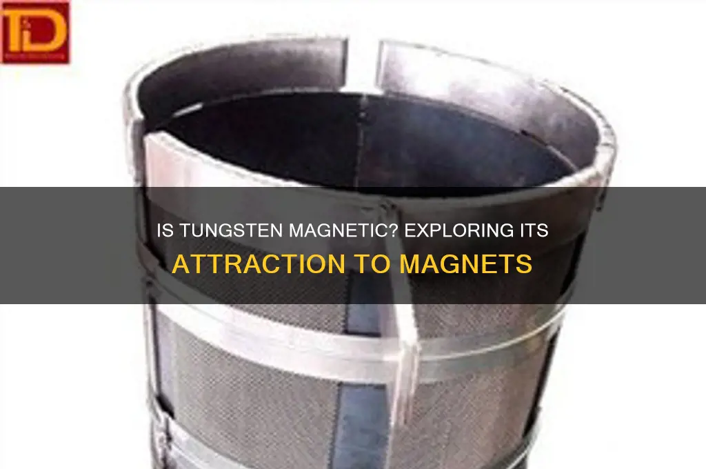 should tungsten be attracted to a magnet