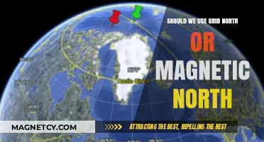 Grid North vs. Magnetic North: Which Should You Use for Navigation?