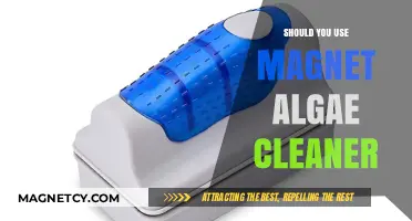 Magnet Algae Cleaner: Effective Aquarium Maintenance Tool or Gimmick?