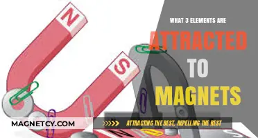 Magnetic Materials: Exploring the Elements Drawn to Magnets