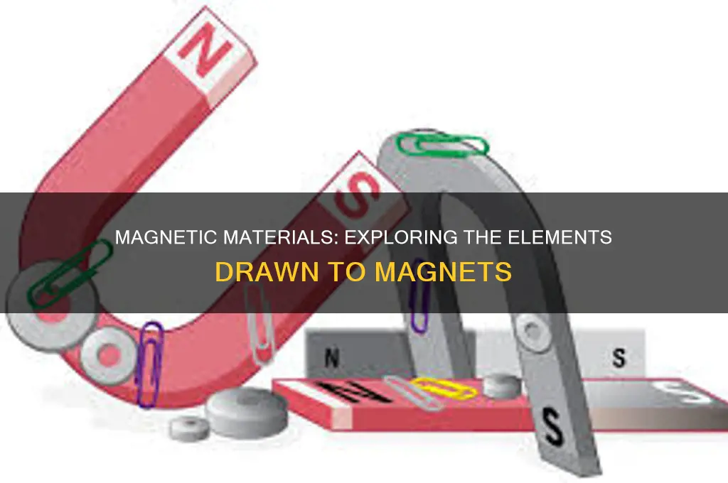 what 3 elements are attracted to magnets