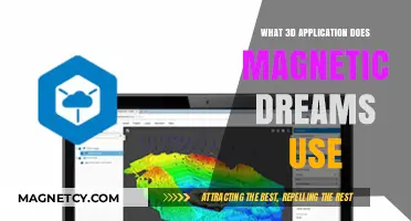 Magnetic Dreams' 3D Software: Unveiling Their Creative Application Choice