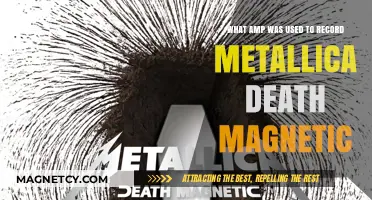 Unveiling the Amp Behind Metallica's Death Magnetic Studio Sound