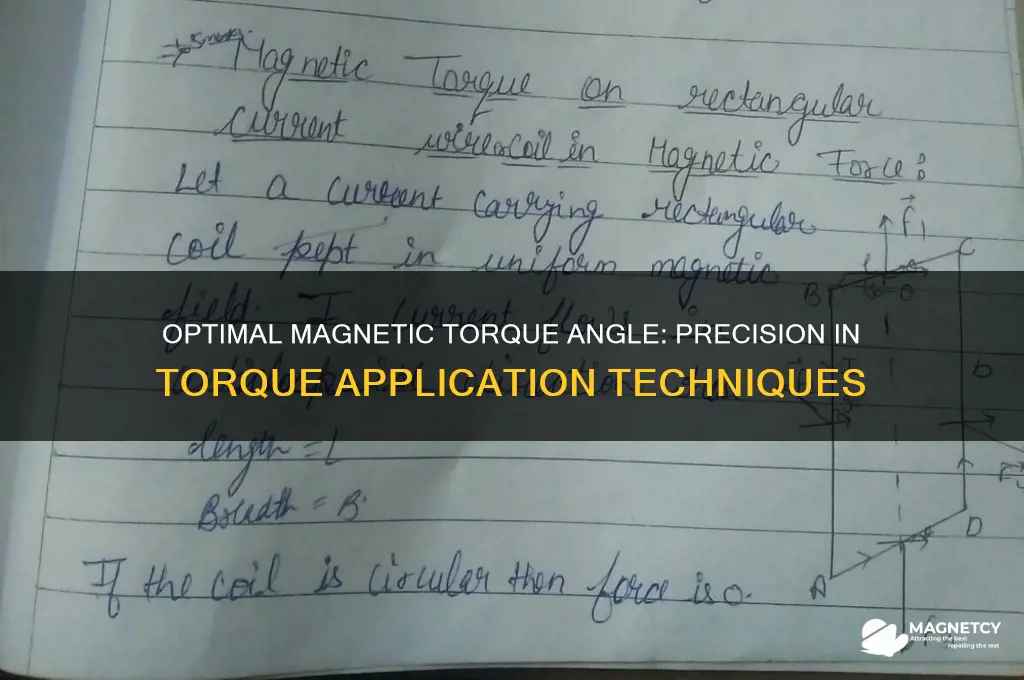 what angle do you use for magnetic torque