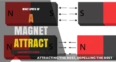 Understanding Magnetism: Which Parts of a Magnet Attract and How
