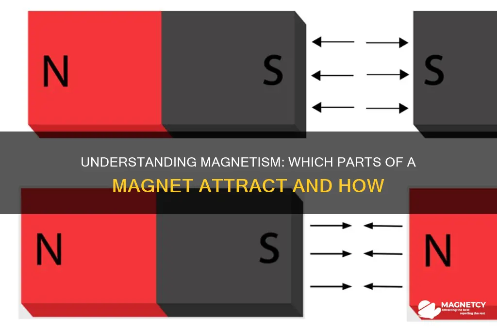 what aprts of a magnet attract