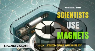 Magnetic Marvels: Two Innovative Scientific Applications of Magnets