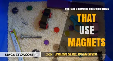 Everyday Magnet Magic: 3 Common Household Items Using Magnets