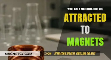 Magnetic Materials: 3 Common Substances That Stick to Magnets
