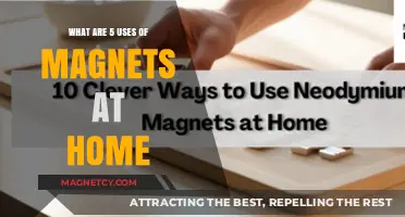 Discover 5 Practical Magnet Uses for Everyday Home Solutions