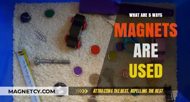 Discovering the Surprising Applications of Magnets in Everyday Life