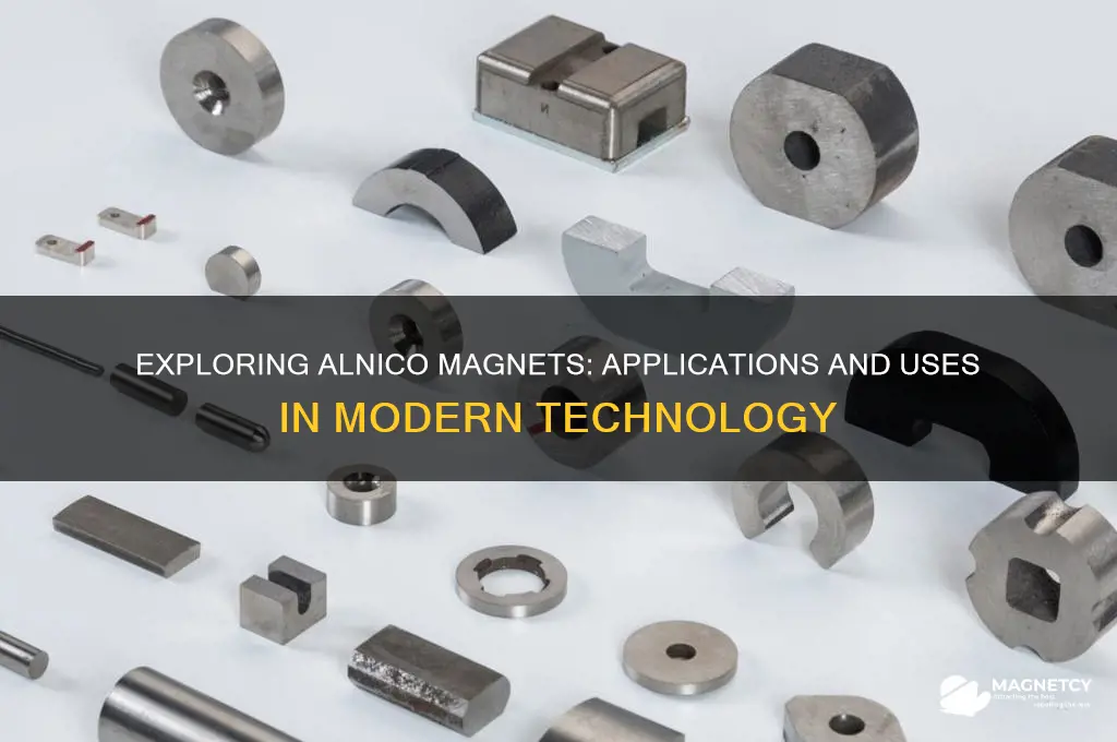 what are alnico magnets used for