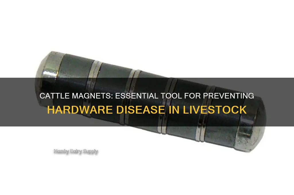 what are cattle magnets used for