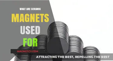 Exploring Ceramic Magnets: Applications and Uses in Daily Life