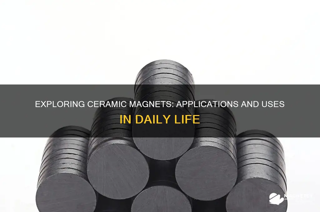 what are ceramic magnets used for
