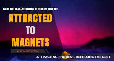 Magnetic Attraction: Key Traits of Objects Drawn to Magnets