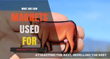 Cow Magnets: Essential Tools for Preventing Hardware Disease in Cattle