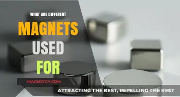 Exploring Diverse Applications of Magnets in Everyday Life and Industry