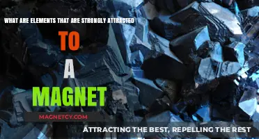Magnetic Materials: Exploring Elements Strongly Attracted to Magnets